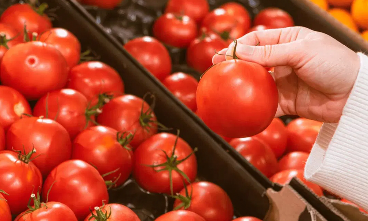 PRIMERA PLANA 15 JUL