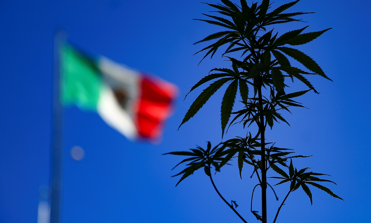 PRIMERA PLANA 16 AGO