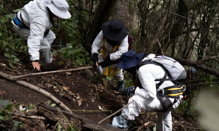 Hallazgo forense Encuentran restos humanos en Topilejo