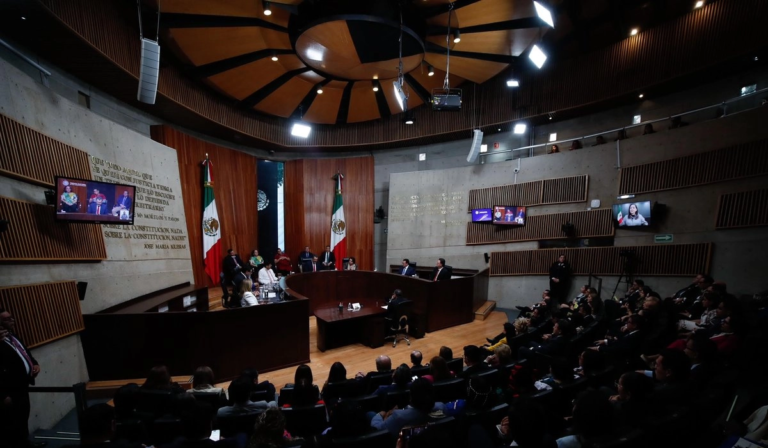 Designación judicial TEPJF ordena respetar votación mayoritaria