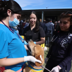 Caso Franciscano Exigen judicializar investigación por crueldad