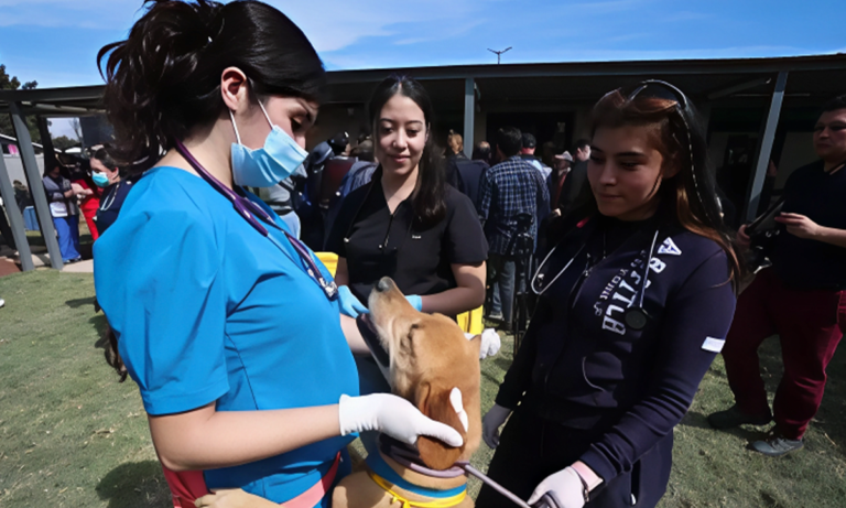 Caso Franciscano Exigen judicializar investigación por crueldad