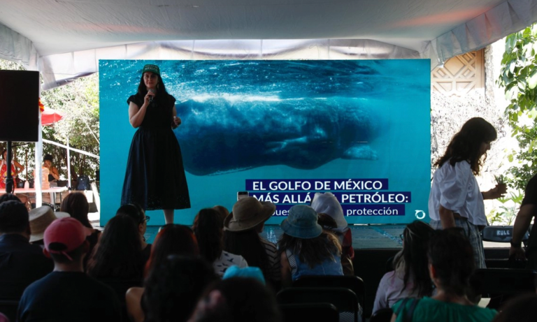 Piden protección Buscan blindar el Golfo de California