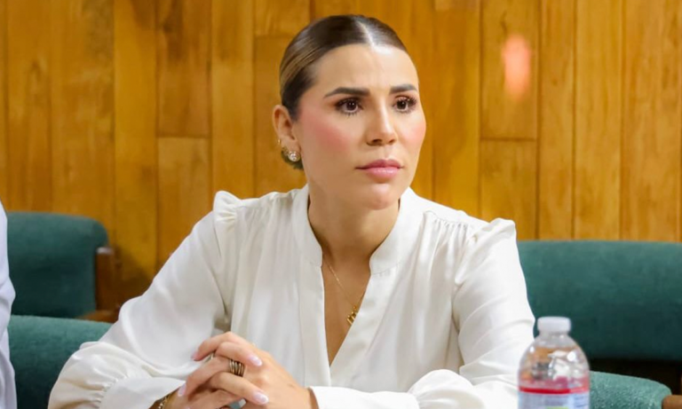 Marina del Pilar Admite aportaciones privadas durante campaña